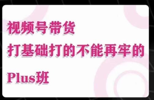 大播汇·视频号带货Puls班，视频号底层逻辑，起号自然流鱼塘等玩法插图