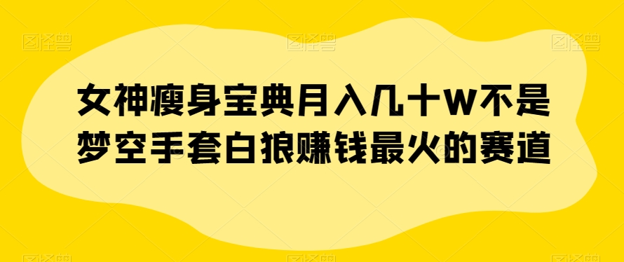 女神瘦身宝典月入几十W不是梦空手套白狼赚钱zui火的赛道【揭秘】插图