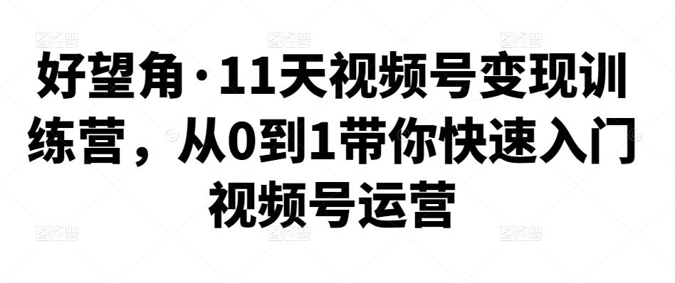 好望角·11天视频号变现训练营，从0到1带你快速入门视频号运营插图