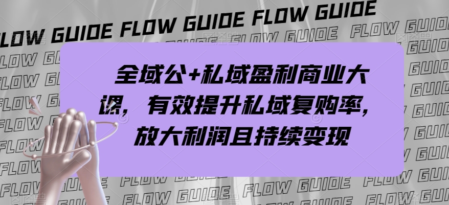 全域公+私域盈利商业大课，有效提升私域复购率，放大利润且持续变现插图