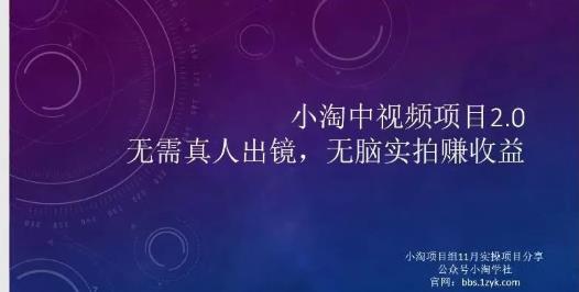 小淘项目组网赚永久会员，绝对是具有实操价值的，适合有项目做需要流程【持续更新】插图