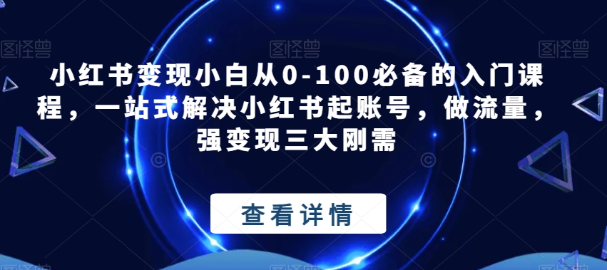 小红书变现小白从0-100必备的入门课程，一站式解决小红书起账号，做流量，强变现三大刚需插图