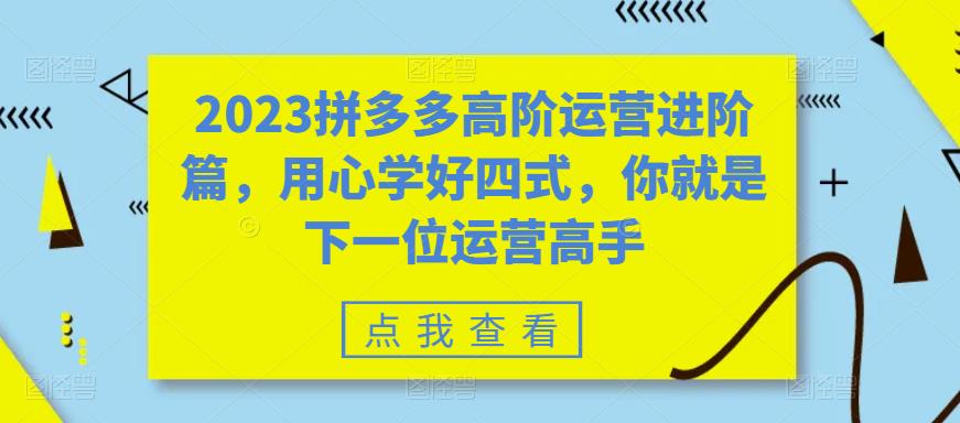 （6193期）2023拼多多高阶运营进阶篇，用心学好四式，你就是下一位运营高手插图