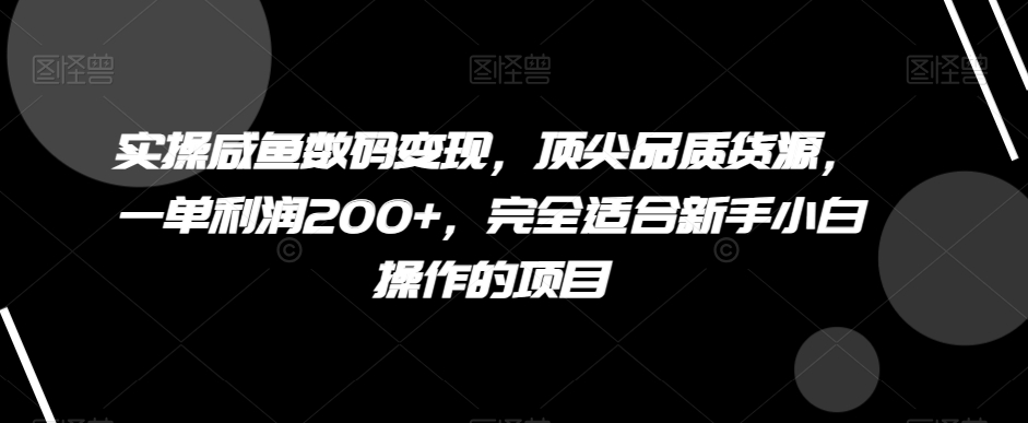 实操咸鱼数码变现，顶尖品质货源，一单利润200+，完全适合新手小白操作的项目【揭秘】插图