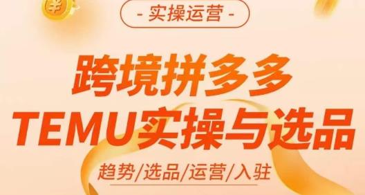 伍跃·跨境拼多多TEMU实操与选品，​趋势/选品/运营/入住（27节完整）插图