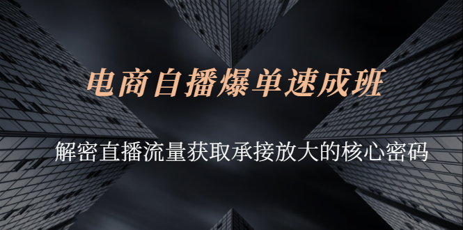 （2584期）电商自播爆单速成班：解密直播流量获取承接放大的核心密码插图