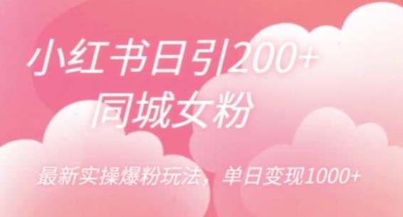 小红书日引200+同城女粉，zui新实操爆粉玩法，单日变现1000+【揭秘】插图