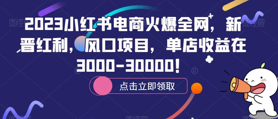 2023小红书电商火爆全网，新晋红利，风口项目，单店收益在3000-30000！插图