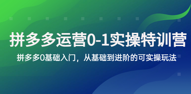 （5747期）拼多多-运营0-1实操训练营，拼多多0基础入门，从基础到进阶的可实操玩法插图