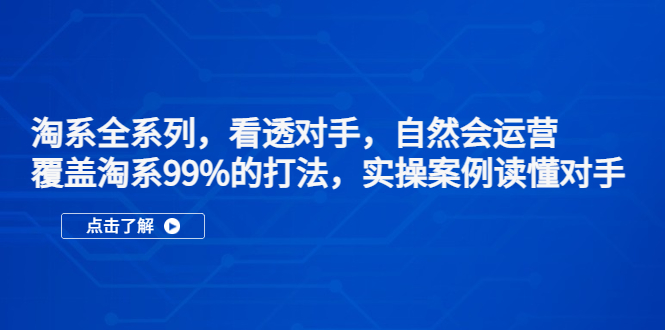 （5233期）淘系全系列，看透对手，自然会运营，覆盖淘系99%·打法，实操案例读懂对手插图