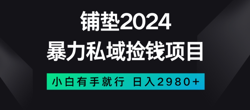 暴力私域捡钱项目，小白无脑操作，日入2980【揭秘】插图