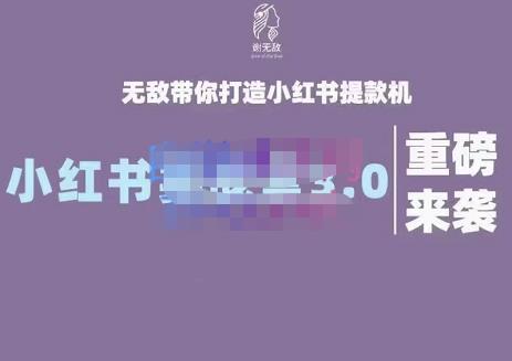 谢无敌·小红书实战营3.0，无敌带你打造小红书提款机 价值7999元插图