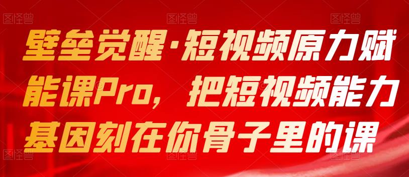 壁垒觉醒·短视频原力赋能课Pro，把短视频能力基因刻在你骨子里的课插图