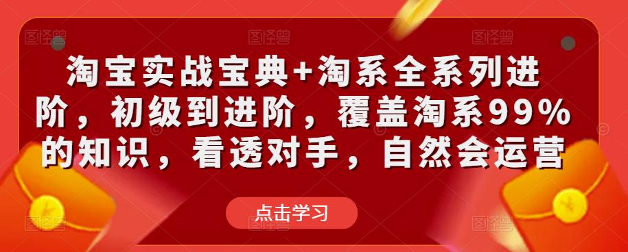 淘宝实战宝典+淘系全系列进阶，初级到进阶，覆盖淘系99%的知识，看透对手，自然会运营插图