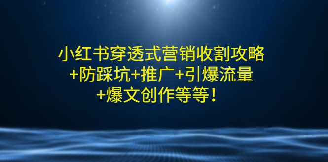 （2907期）小红书穿透式营销收割攻略+防踩坑+推广+引爆流量+爆文创作等等！插图