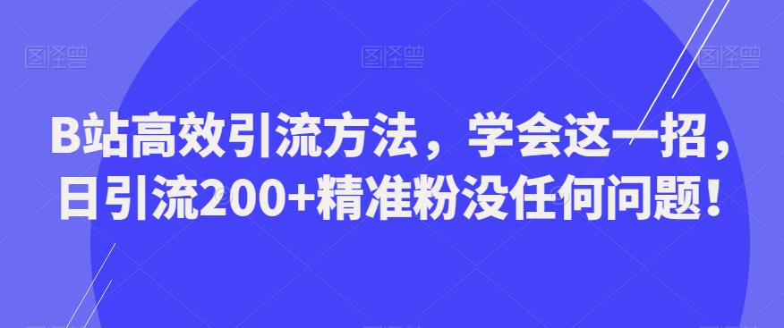 B站高效引流方法，学会这一招，日引流200+精准粉没任何问题【揭秘】插图