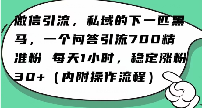 怎么搞精准创业粉？微信新赛道，每天一小时，利用Ai一个问答日引100精准粉插图