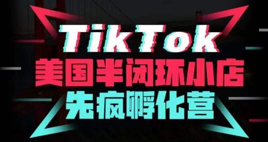 疯人院·TikTok美国半闭环小店孵化营，抢占TikTok美国蓝海市场，开店、运营、带货、投流全实操插图