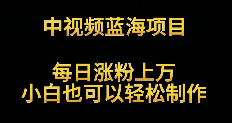 中视频蓝海项目，解读英雄人物生平，每日涨粉上万，小白也可以轻松制作，月入过万不是梦【揭秘】插图