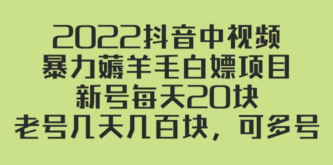 （2402期）2022抖音中视频暴力薅羊毛白嫖项目：新号每天20块，老号几天几百块，可多号插图