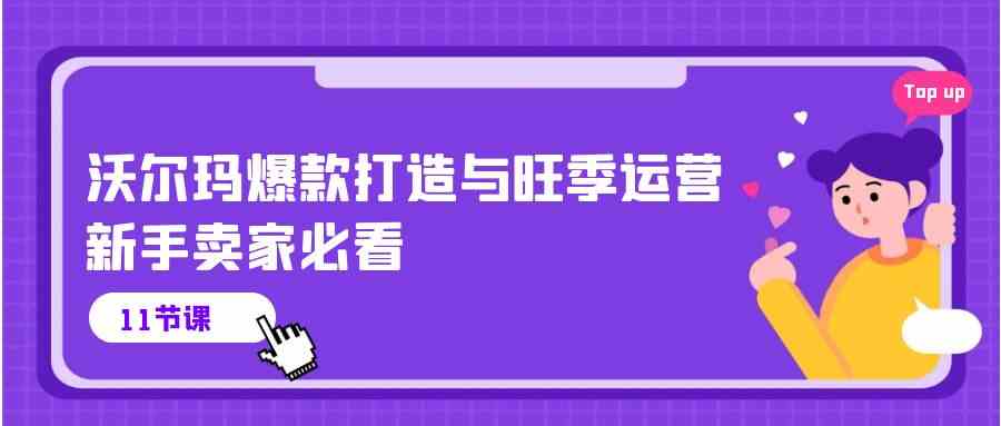 沃尔玛爆款打造与旺季运营，新手卖家必看（11节视频课）插图