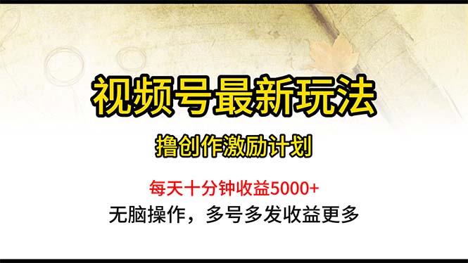 （10591期）视频号zui新玩法，每日一小时月入5000+插图