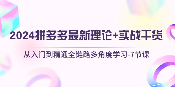 （10816期）2024拼多多 zui新理论+实战干货，从入门到精通全链路多角度学习-7节课插图