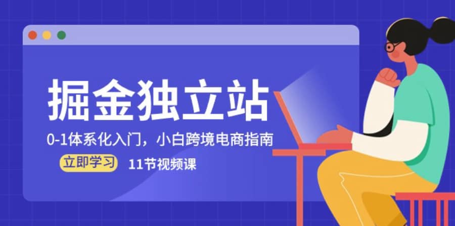 （10536期）掘金 独立站，0-1体系化入门，小白跨境电商指南（11节视频课）插图