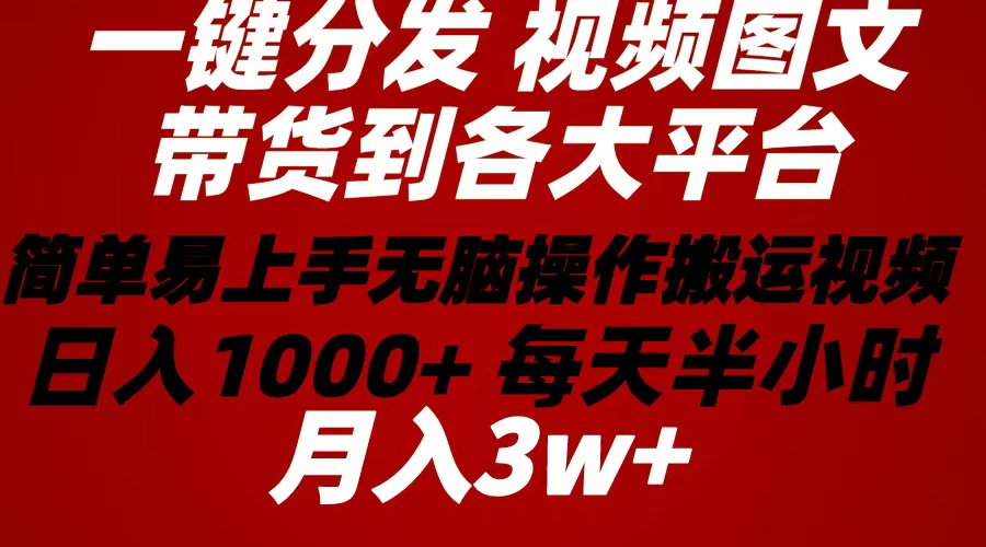 （10667期）2024年 一键分发带货图文视频 简单易上手 无脑赚收益 每天半小时日入1…插图