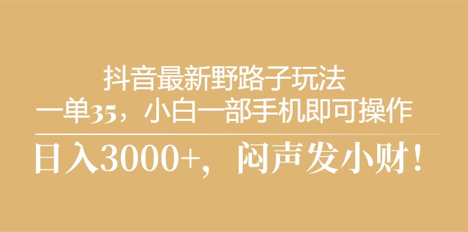 （10766期）抖音zui新野路子玩法，一单35，小白一部手机即可操作，日入3000+插图