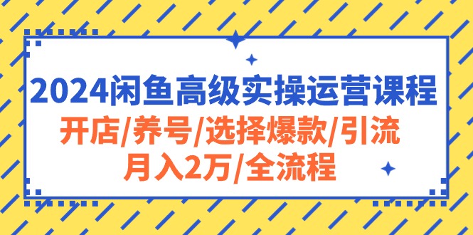 （10711期）2024闲鱼高级实操运营课程：开店/养号/选择爆款/引流/月入2万/全流程插图