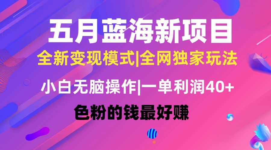 （10477期）五月蓝海项目全新玩法，小白无脑操作，一天几分钟，矩阵操作，月入4万+插图