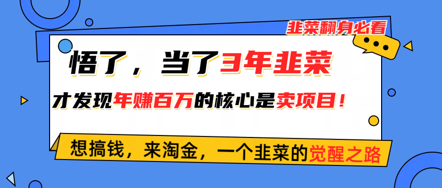 （10759期）悟了，当了3年韭菜，才发现网赚圈年赚100万的核心是卖项目，含泪分享！插图