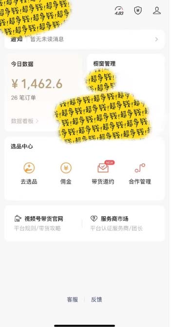 （11009期）[你的孩子成功取得高位]视频号zui火爆赛道，橱窗带货，流量分成计划，条…插图2