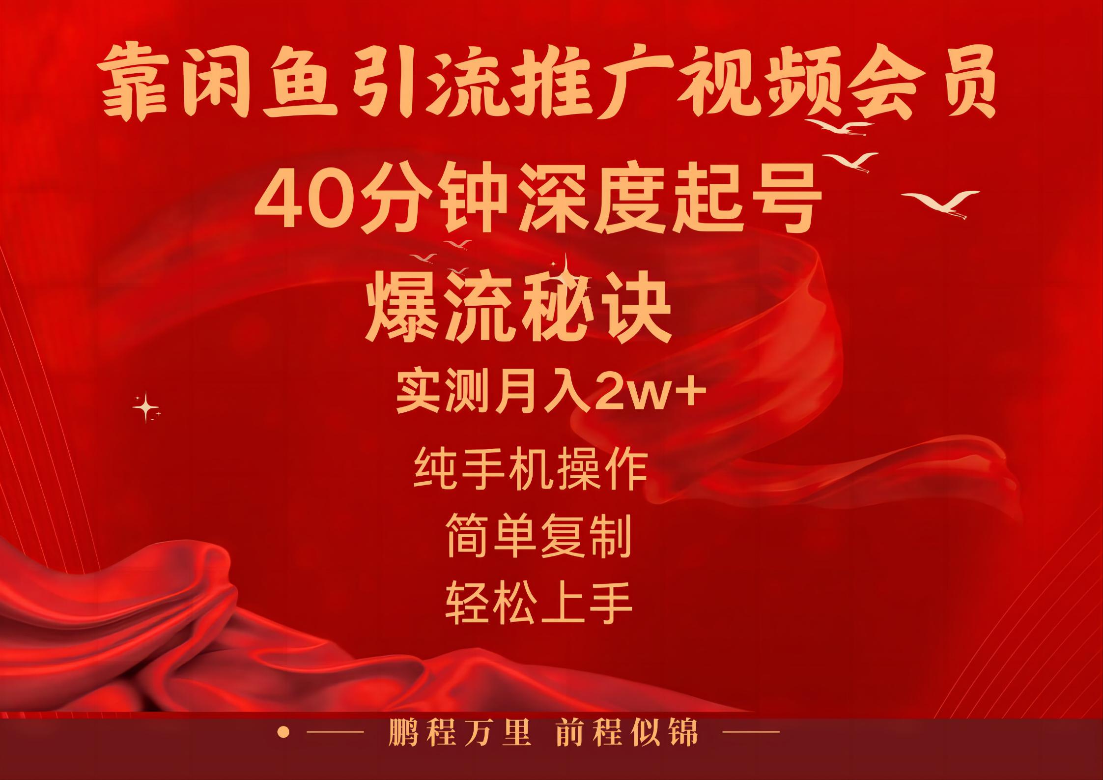 （10895期）闲鱼暴力引流推广视频会员，能做到日入2W+，操作简单插图