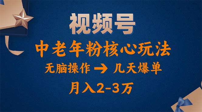 （11288期）视频号火爆玩法，高端中老年粉核心打法，无脑操作，一天十分钟，月入两万插图