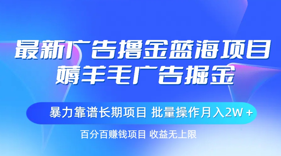 （11193期）zui新广告撸金蓝海项目，薅羊毛广告掘金 长期项目 批量操作月入2W＋插图