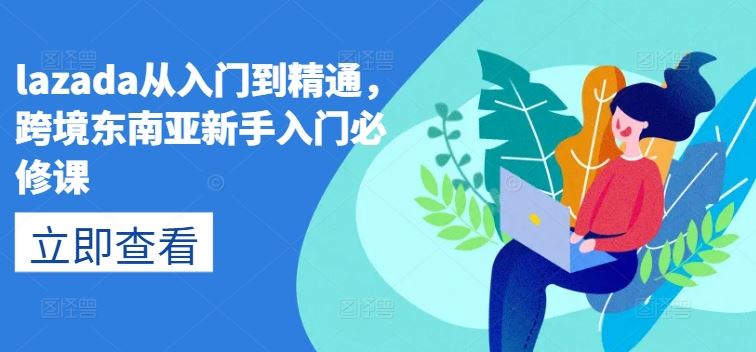 lazada从入门到精通，跨境东南亚新手入门必修课插图