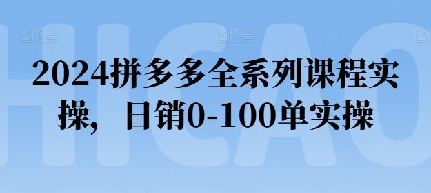 2024拼多多全系列课程实操，日销0-100单实操【必看】插图