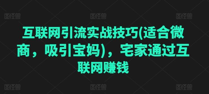 互联网引流实战技巧(适合微商，吸引宝妈)，宅家通过互联网赚钱插图