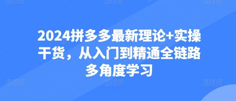 2024拼多多zui新理论+实操干货，从入门到精通全链路多角度学习插图