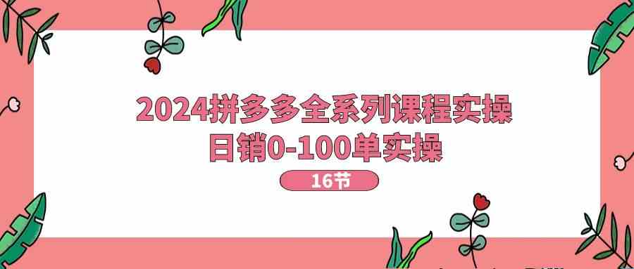 2024拼多多全系列课程实操，日销0-100单实操【16节课】插图