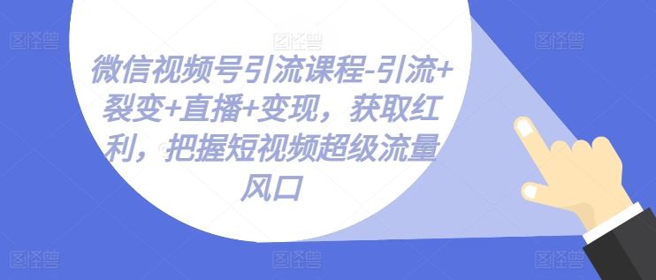 微信视频号引流课程-引流+裂变+直播+变现，获取红利，把握短视频超级流量风口插图