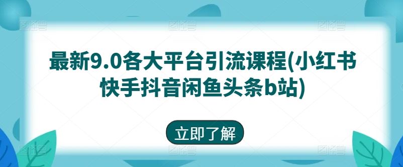 zui新9.0各大平台引流课程(小红书快手抖音闲鱼头条b站)插图