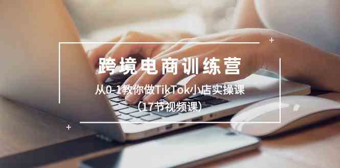 跨境电商训练营：从0-1教你做TikTok小店实操课（17节视频课）插图