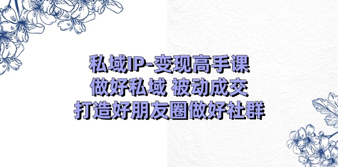 私域IP变现高手课：做好私域被动成交，打造好朋友圈做好社群（18节）插图