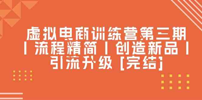 虚拟电商训练营第三期丨流程精简丨创造新品丨引流升级 [完结]插图