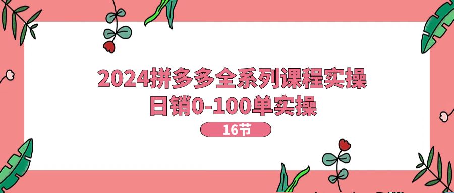 （11222期）2024拼多多全系列课程实操，日销0-100单实操【16节课】插图