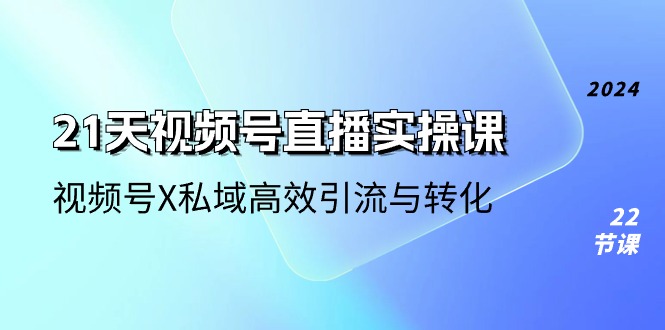 21天视频号直播实操课，视频号X私域高效引流与转化（22节课）插图