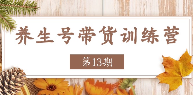 （11275期）养生号-带货训练营【第13期】收益更稳定的玩法，让你带货收益爆炸插图